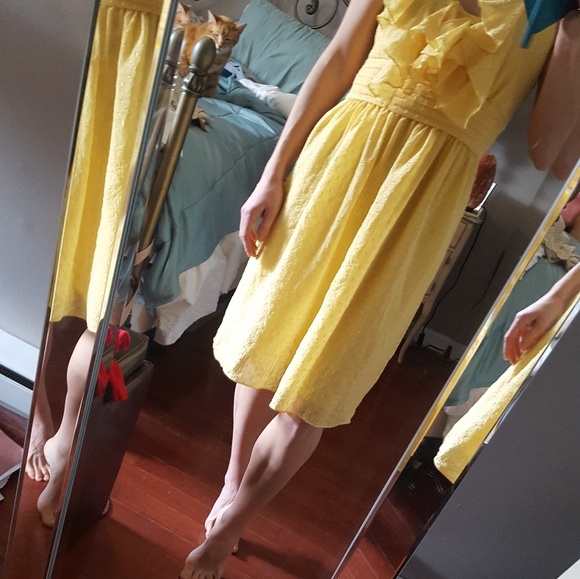 Yellow BCBG Paris Dress - Picture 3 of 8